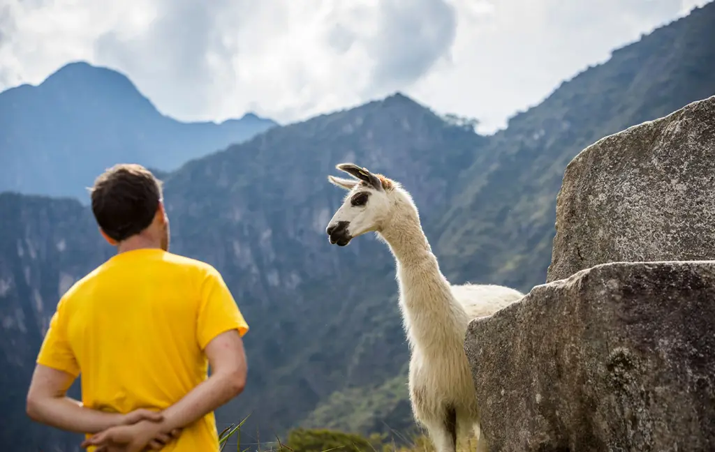plan a trip peru