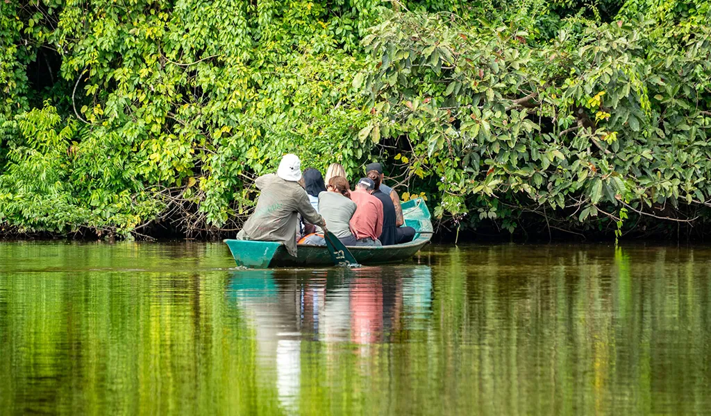 Tambopata experience